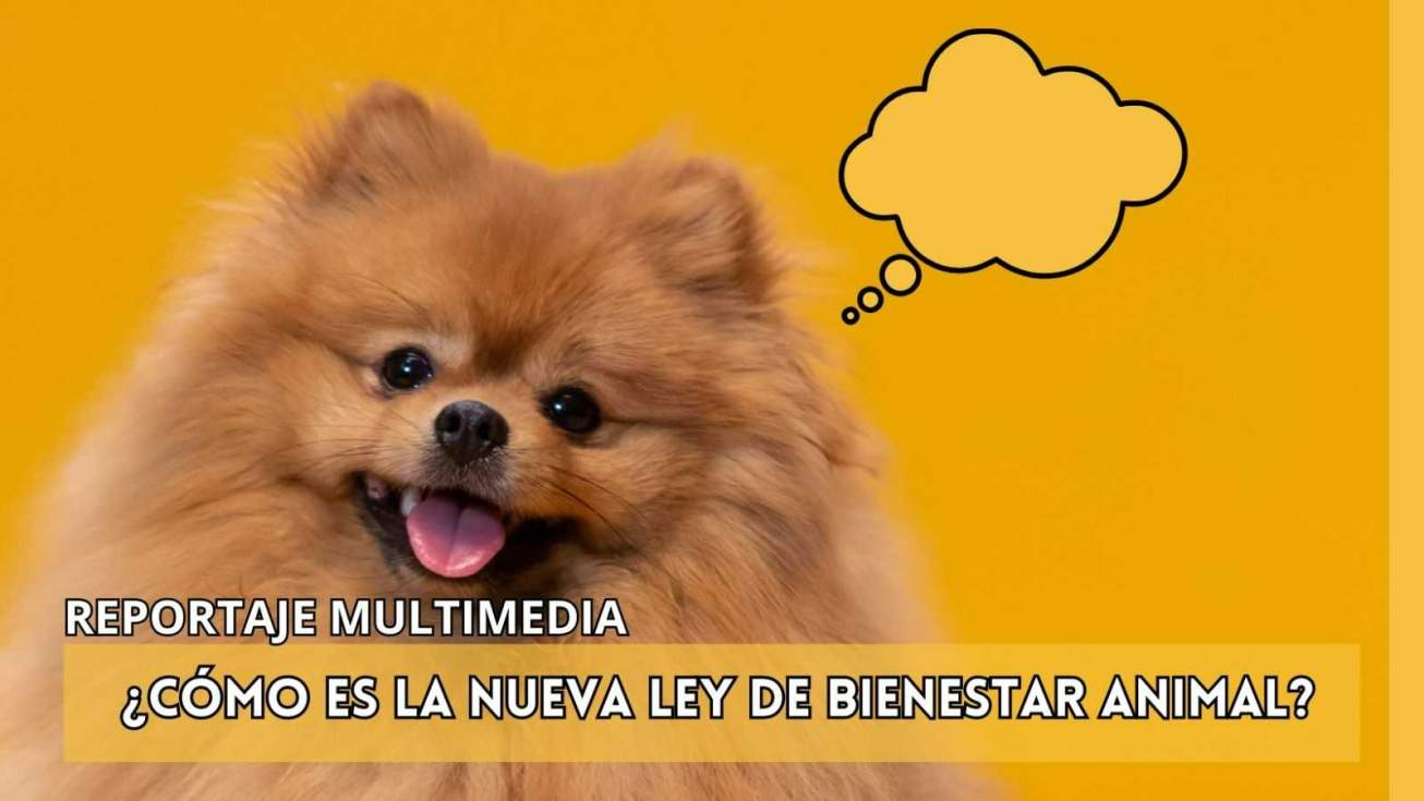 [Img #4241]